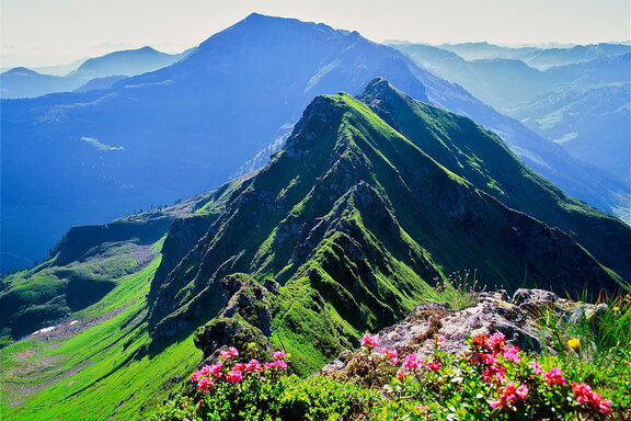 Alpbach, Standkopf Blick ins Alpbachtal ©Alpbachtal Tourismus, Bernhard Berger Alpbach, Standkopf Blick ins Alpbachtal ©Alpbachtal Tourismus, Bernhard Berger
