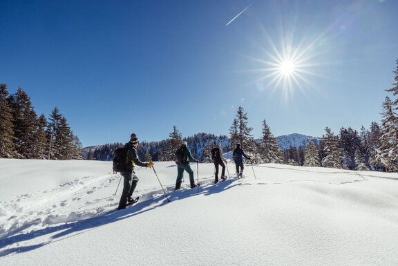 Schneeschuhwandern im Alpbachtal ©Alpbachtal Tourismus, shootandstyle.com Schneeschuhwandern im Alpbachtal ©Alpbachtal Tourismus, shootandstyle.com